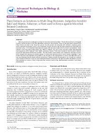 Image result for Indigofera homblei