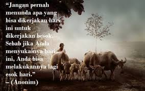 Gambar kata kata bijak kehidupan terbaru. Kumpulan Kata Kata Tentang Kerja Dan Pekerjaan