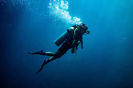 Центр дайвинга в ялте, крым. Scubago Book Your Next Dive Online Dive Centers Liveaboards Worldwide