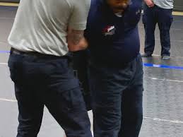 Gold-medal project: Judo seeks solutions in police training