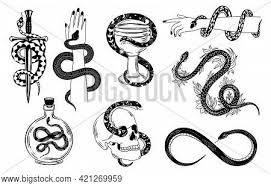 The flowers and vines give a delicate touch to otherwise strong and masculine looking dagger. Snakes Tattoo Occult Vector Photo Free Trial Bigstock