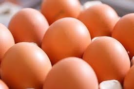 Cal maine foods has less than 49 (%) percent chance of experiencing financial distress in the next two years of operations. Cal Maine Foods Responds To Alleged Mistreatment Of Laying Hens Food Industry News Just Food