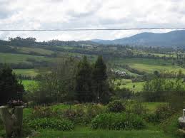 Many visitors to medellín take advantage of the town's. View Of Santa Elena Countryside On Horseback Picture Of Santa Elena Medellin Tripadvisor