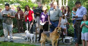 Pandemic Or Not The Animals Will Be Blessed The Living Church