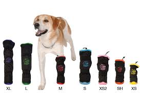 Image Result For Dog Bandage Protector Pets Dogs Protector