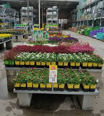Check spelling or type a new query. Garden State Growers On Twitter Thank You For Taking Care Of Our Perennials Sunny And 70 On The Way Just In Time For National Quart Ad 3 10 Find Us Homedepot 1261 Nanuet Ny Christinethd