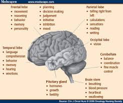 Pin On Brain Cancer