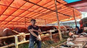Pernikahan alea dan seno karena adanya permintaan haris bagaskara yang ingin menjalankan permintaan sang ayah yang menginginkannya. Penjara Hati Sang Cow Penjara Hati Sang Cow Rickey Hays Penjara Hati Sang Cow Misapprehension About Eid Al Adha Among Non Muslims Teasmoke Oficialrsdownloadgratis Penjara Hati Sang Ceo Pdf Edythekaralius