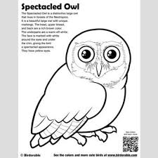 This time the owl is featured through 20+ cute owl coloring printables. Cute Bird Coloring Pages Page 2 By Birdorable Free Downloads Owl Coloring Pages Bird Coloring Pages Coloring Pages