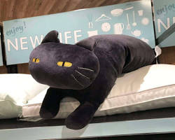 cat cushions from Nitoriの画像