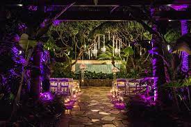 Disney S Aulani Resort And Spa Offers The Mesmerizing Wedding Venue Kula Wai To Make Your Weddin Disney Wedding Venue Disney Fairy Tale Weddings Disney Wedding