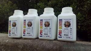 Gel kencing harimau tidak membunuh. Gel Spray Kencing Harimau