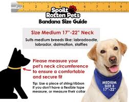 Spoilt Rotten Pets Logo Diseño personalizado Marca personalizada Bandana de  marca o gato cuatro tamaños, pañuelo, bufanda, logotipo de la empresa,  evento benéfico,