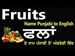 Fruits Name Punjabi To English ਫ ਲ ਦ ਨ ਮ ਪ ਜ ਬ ਤ ਅ ਗਰ ਜ ਵ ਚ Youtube Fruit Names Fruits Name In English English Food