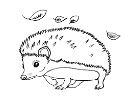 Hedgehog Coloring Page Hedgehog Colors Love Coloring Pages Summer Coloring Pages