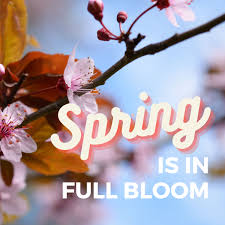 Profile for Laura Sheppard Groth, Realtor