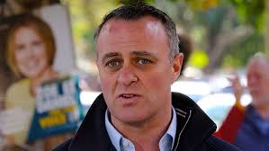 Teal independent Zoe Daniel loses Goldstein as Tim Wilson reclaims seat for  the Liberal Party
