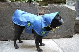 Today i transformed an old vest of my dad into a rain jacket with hood for my dog, tommy. Upcycled Umbrella Dog Rain Coat By Recycling Zychal By Taryn Zychal At Coroflot Com