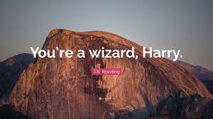 Here is a design of the famous quote from the harry potter movies, you're a wizard, harry! J K Rowling Quote You Re A Wizard Harry