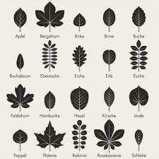 Baumblatter Iris Luckhaus Illustration Design Form Poster Illustration Design Heimische Baume