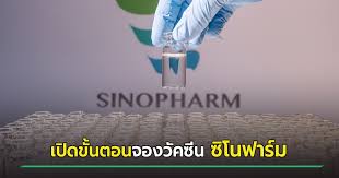 เปิดขั้นตอนจอง วัคซีนโควิด ซิโนฟาร์ม ทางออนไลน์ เริ่ม 14 มิ.ย. 8bp9lcyyjn F2m