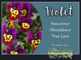 Flower symbolism ~&~ spiritual meaning of flowers meanings conveyed in the giving of flowers. Violet Meaning Symbolism Flower Meanings Symbolism