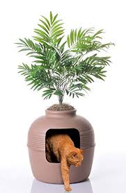 New automatic litter boxes have been released since our last update, and we'll consider testing them in the future. 6 Best Litter Box For Small Spaces And Small Apartments In 2021