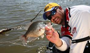 We did not find results for: Tennessee Crappie Guide
