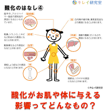 活性酸素が細胞を破壊するとどうなるの 抗酸化のはなし４ 活性酸素 活性 ライフハッカー