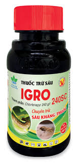 Igro 240SC