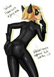 Cat noir butt