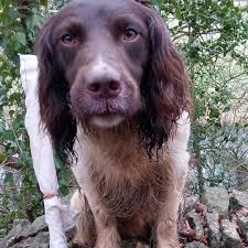 Back again 😄 another great...