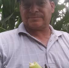 Juzgado de Letras de Danlí, El Paraíso, ha celebrado 5, 721 actuaciones  procesales del 16 de marzo al 13 de octubre.