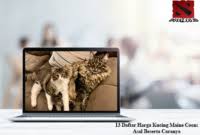 Memandulkan dan mengebiri kucing anda tidak hanya membantu mengendalikan populasi hewan yang tidak diinginkan, tetapi juga dapat mengakhiri perilaku yang tidak diinginkan seperti roaming, yowling, dan penyemprotan. 12 Efek Kebiri Pada Kucing Jantan Beserta 8 Manfaatnya