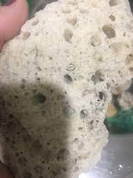 Check spelling or type a new query. How To Clean Salt Water Coral My Aquarium Club
