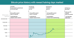 What is bitcoin halving let's find out why it's essential for crypto mining, the meaning every 210 000 blocks, the miners' reward for the mined block in the bitcoin network is halved, and new coins. Chart Of The Day Bitcoin Reward Halving And Price History Infographics Ihodl Com