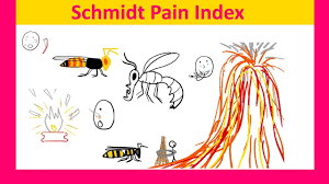 Schmidt Pain Index Bees Wasps Ants And Their Stings