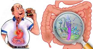 What increases my risk for gastroenteritis? Gastroenteritis Stomach Flu Symptoms Causes And Treatment Article1000 Com