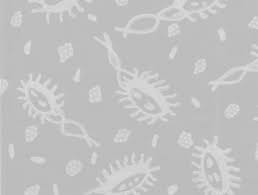 Pastinya bukan hanya mudah untuk mengajak si kecil memakai masker. Https Repub Eur Nl Pub 17713 091215 Lestari 20endang 20sri 20 20severin 20juliette 20astrid Pdf