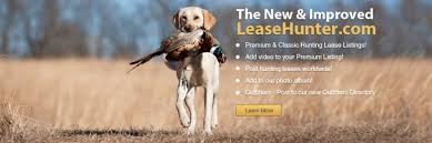 Share a deer hunting leases site. Hunting Lease For Free Texas Hunting Texas Deer Hunts Antelope Hunts Turkey Whitetail Deer Hunts Lease Outfitters Lease Clasifieds Whitetail Deer Hunts Whitetail Deer Texas Trophy Deer Hunting Deer Hunting Games