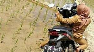 100% free and safe to download video and mp3 from youtube, facebook, twitter, instagram, and 1000+ websites. Download Gambar Lucu Naik Sepeda Naik Sepeda Motor Lewat Pematang Sawah Jadinya Begini Tribun Lampung Foto Kocak Valentino Rossi Kal Gambar Lucu Lucu Gambar