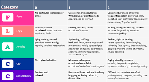 Image result for FLACC Scale