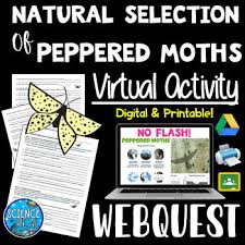 Natural selection and genetic drift can not occur unless their is _ genetic. Peppered Moth Natural Selection Webquest Digital Printable Tpt