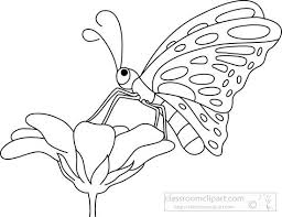63b30d2a058205e2af7c76c992be0742 Butterfly Black White Outline Clipart Flowers And Butterflies Black And White Animal Outline Clip Art Pictures Flower Outline