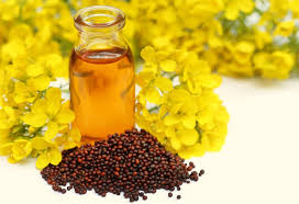 Mustard oil is known to contain another harmful chemical compound called allyl isothiocyanate. 5 Ways To Use Mustard Oil For Hair For Incredible Results Top Beauty Magazines