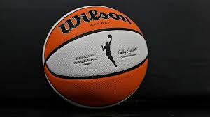 WNBA Game Postponement
