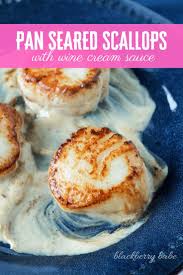 Pan Seared Scallops In Vermouth Cream Sauce Easy Scallop Recipes Pan Seared Scallops Scallops Seared