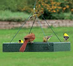 Place squirrel feeders far from bird feeders to further reduce competition. Where Is The Best Place To Put A Bird Feeder In Your Garden Bird Watch Hq