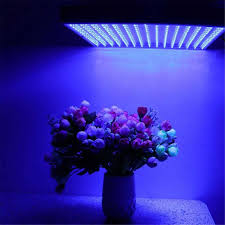 All blue led grow light. 225 Led Grow Light Board 14w Pure Blue 450nm Hydroponics Plant Grow Lights Shopee Malaysia