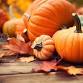 Greenview’s Fall Bazaar